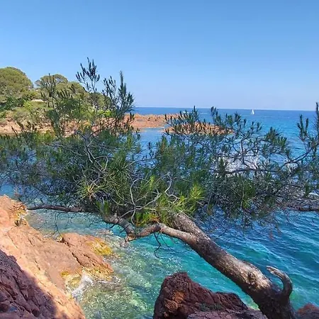 Vue Exceptionnelle Sur La Mer Et Le Cap Esterel Saint-Raphael  Exterior photo