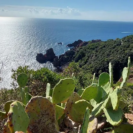Vue Exceptionnelle Sur La Mer Et Le Cap Esterel Saint-Raphael  Exterior photo