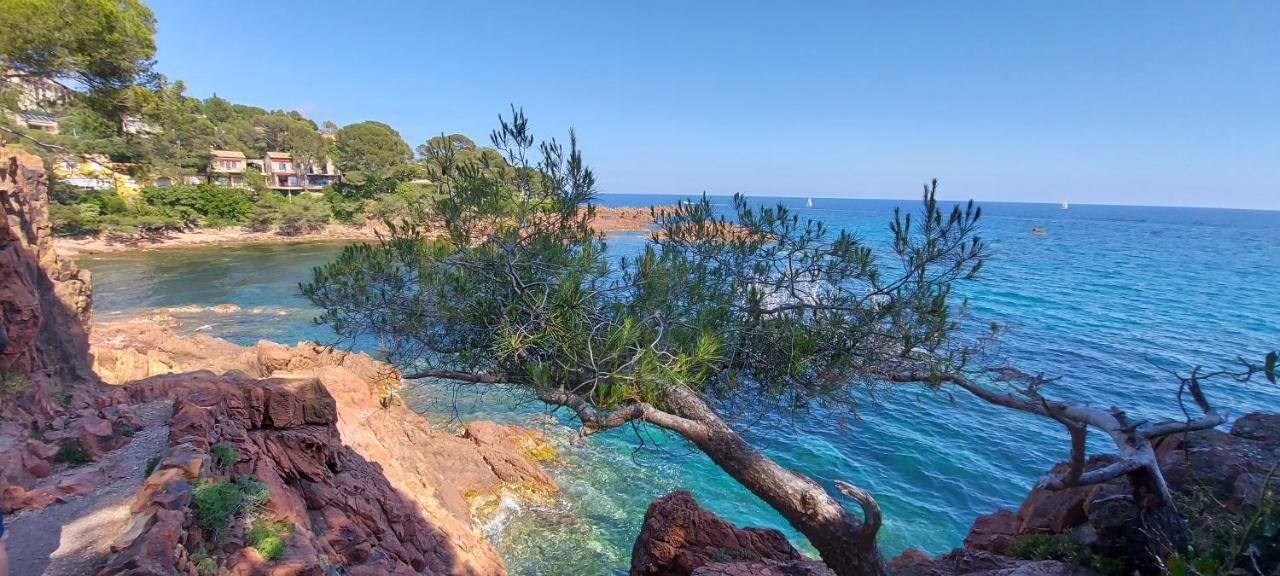Vue Exceptionnelle Sur La Et Le Cap Esterel Apartment Saint-Raphael (Var)