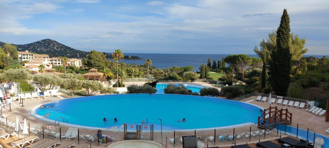 Vue Exceptionnelle Sur La Et Le Cap Esterel * Saint-Raphael (Var)