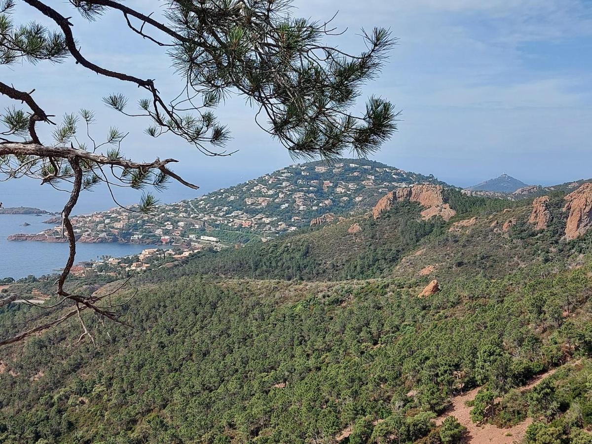 Apartment Vue Exceptionnelle Sur La Et Le Cap Esterel Saint-Raphael (Var)