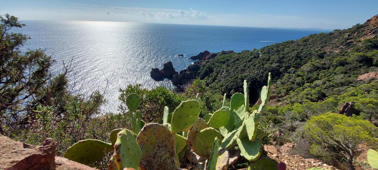 Vue Exceptionnelle Sur La Et Le Cap Esterel Apartment