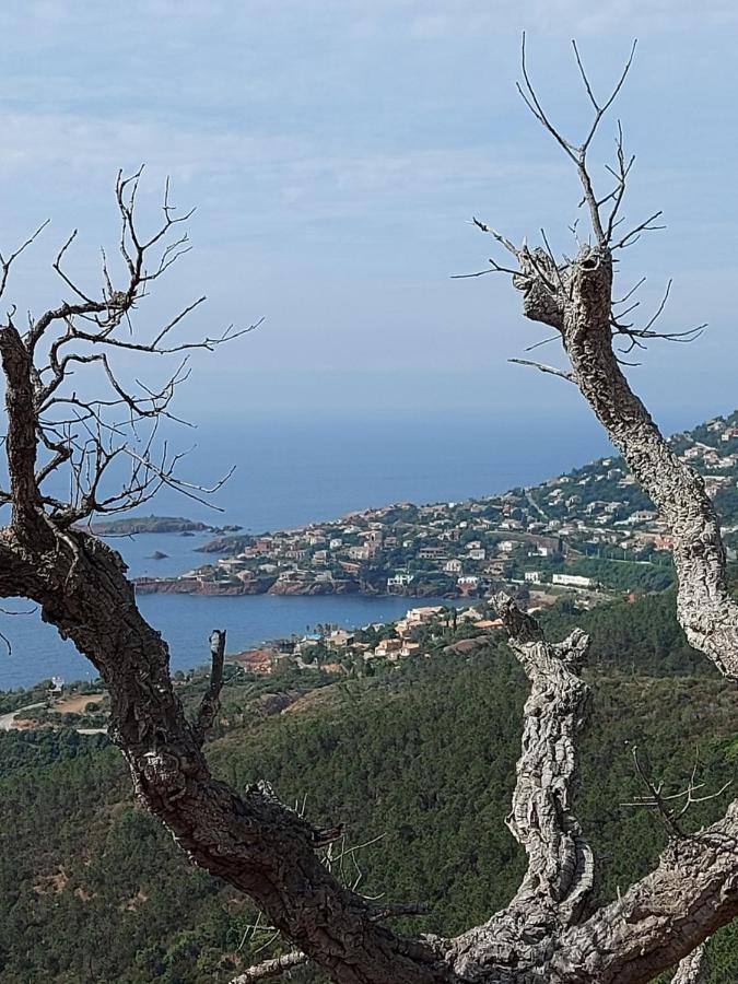 Vue Exceptionnelle Sur La Et Le Cap Esterel Apartment *