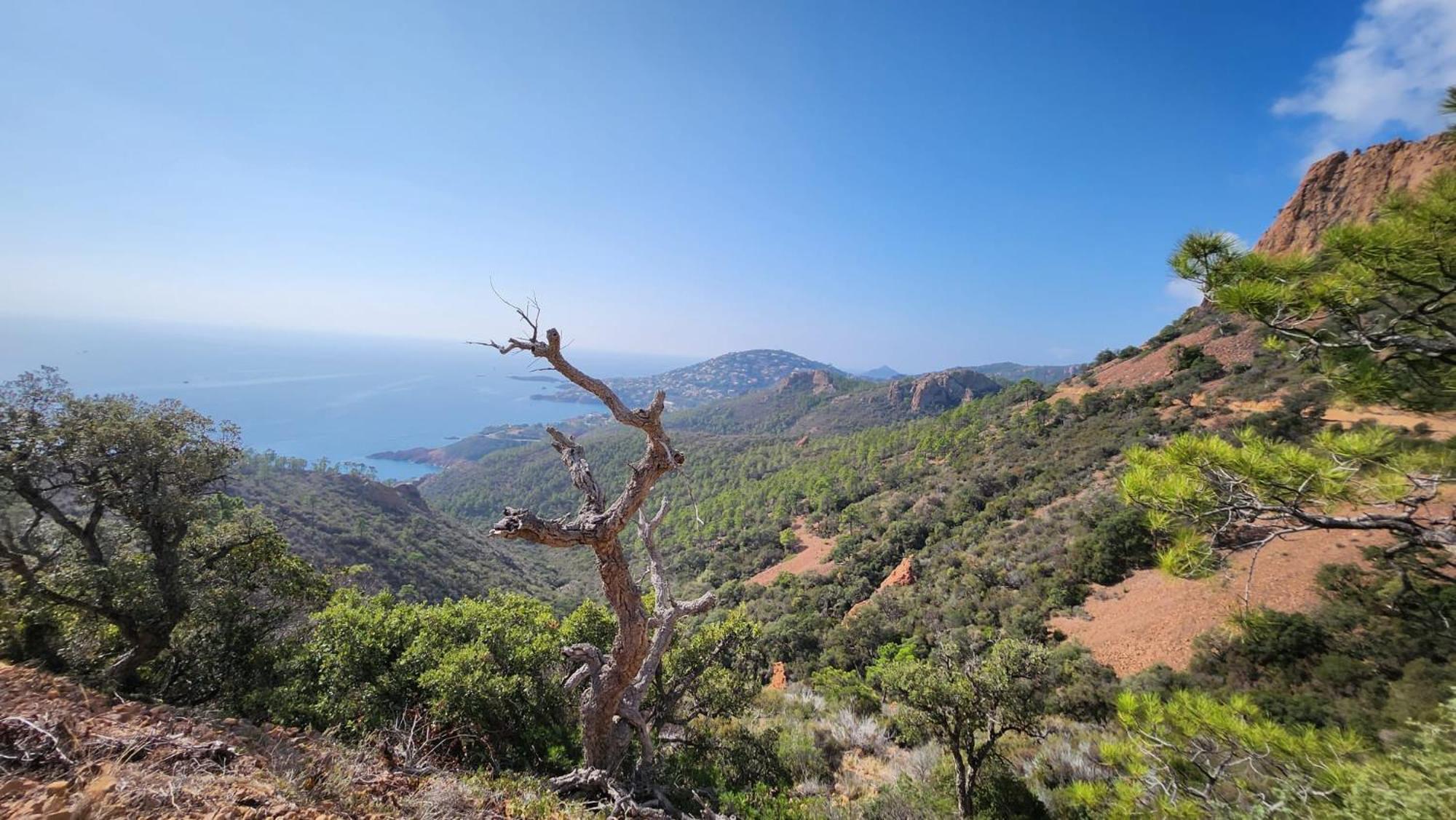 Apartment Vue Exceptionnelle Sur La Et Le Cap Esterel Saint-Raphael (Var)
